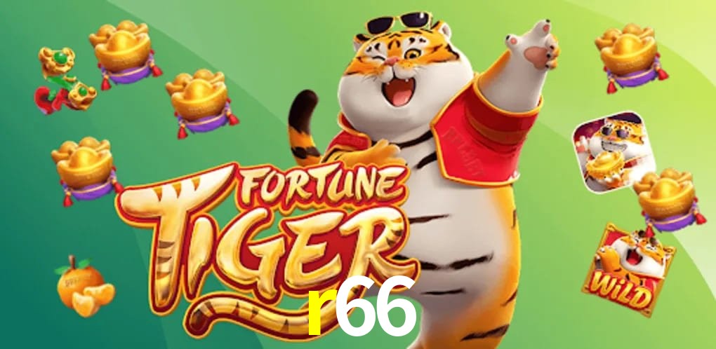 Bonus Features r66